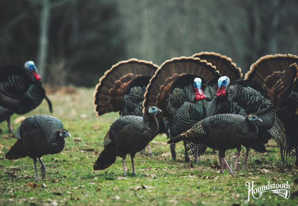 Houndstooth Game Calls