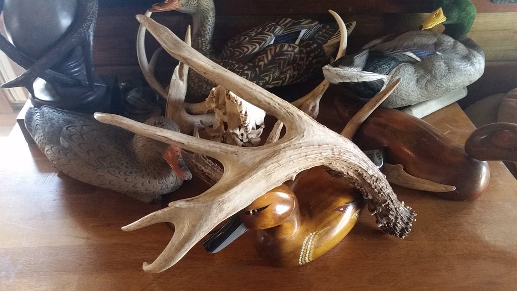 Eastside Lodge Illinois Youth Deer Hunt 2016