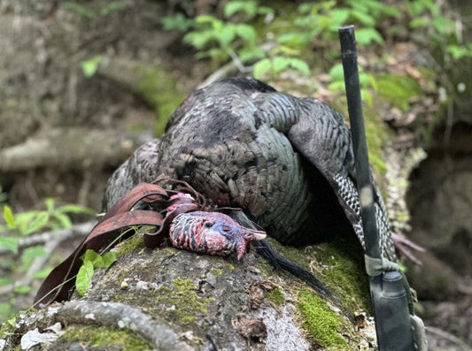 Story Time: Nothing Like a Noxubee River Bird