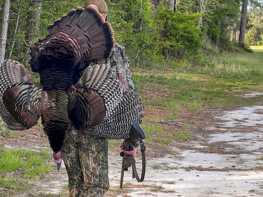 a hunter carries a turkey on his back out of the woods
