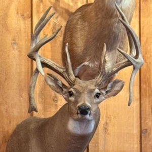 Noxubee River Buck Hunting T-Shirt in Chambray